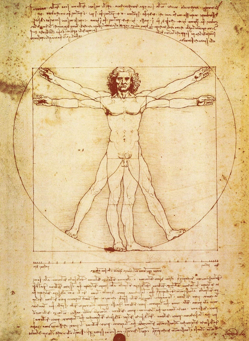 Palace Learning Vitruvian Man by Leonardo Da Vinci Poster - Proportions of the Human Figure Drawing - Fine Art Print (LAMINATED, 18" x 24") - Image 1